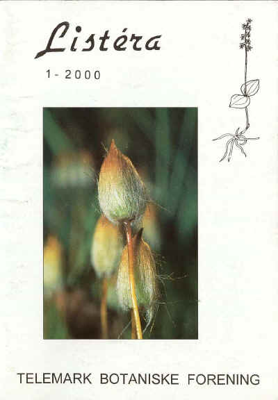Storbjrnemose  (Polytrichum commune). Tidlig utgave av sporehus fr "hetten" er falt av