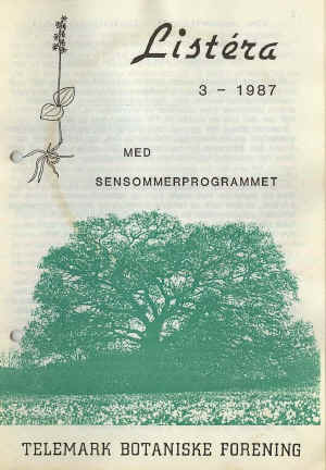 Sommereik (Quercus robur)