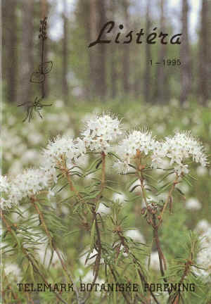 Finnmarkspors (Ledum palustre), Kilen foto: Roger Halvorsen