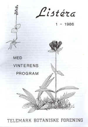 Søterot (Gentiana purpurea)