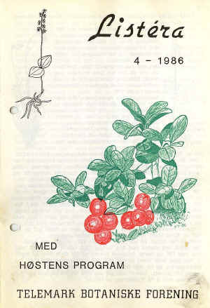 Tyttebær (Vaccinium vitis-idaea)