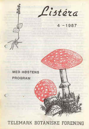 Fluesopp (Amanita muscaria)