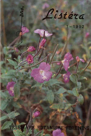 Stormjlke (Epilobium hirsutum) foto: Roger Halvorsen