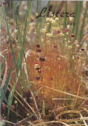 Rød parasollmose, rød møkkmose (Splachnum rubrum), Kilen. foto: Roger Halvorsen