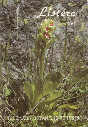 Sstermarihand (Dactylorhiza sambucina), med rdfarge,  Fyresdal. foto: Bjrn Erik Halvorsen