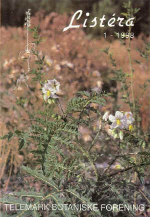 Fjærsøtvier (Solanum sisymbriifolium), Tofte, Hurum foto: Roger Halvorsen