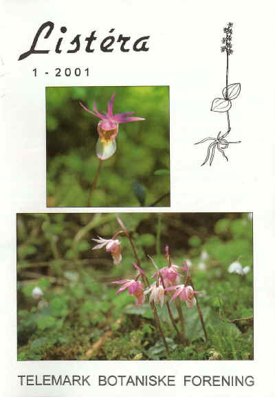 Norne  (Calypso bulbosa)