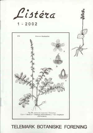 kermne  (Agrimonia eupatoria)