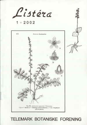 Åkermåne (Agrimonia eupatoria)