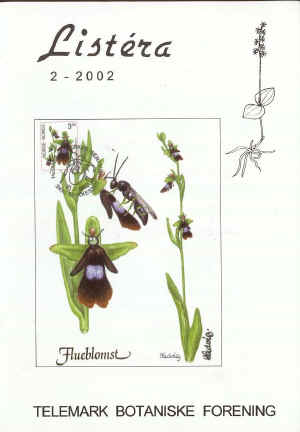 Flueblom  (Ophrys insectifera)