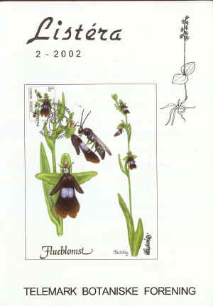Flueblom (Ophrys insectifera)