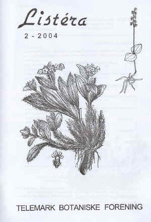 Nardus Nardostachys jatamansi. Ill. fra Moldenke og Alma Plants of the Bible